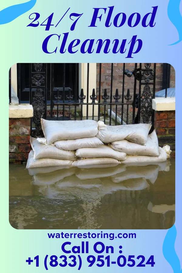 24/7 Flood Cleanup in Ranier, MN