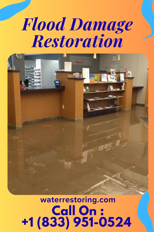 Flood Damage Restoration in Ranier, MN